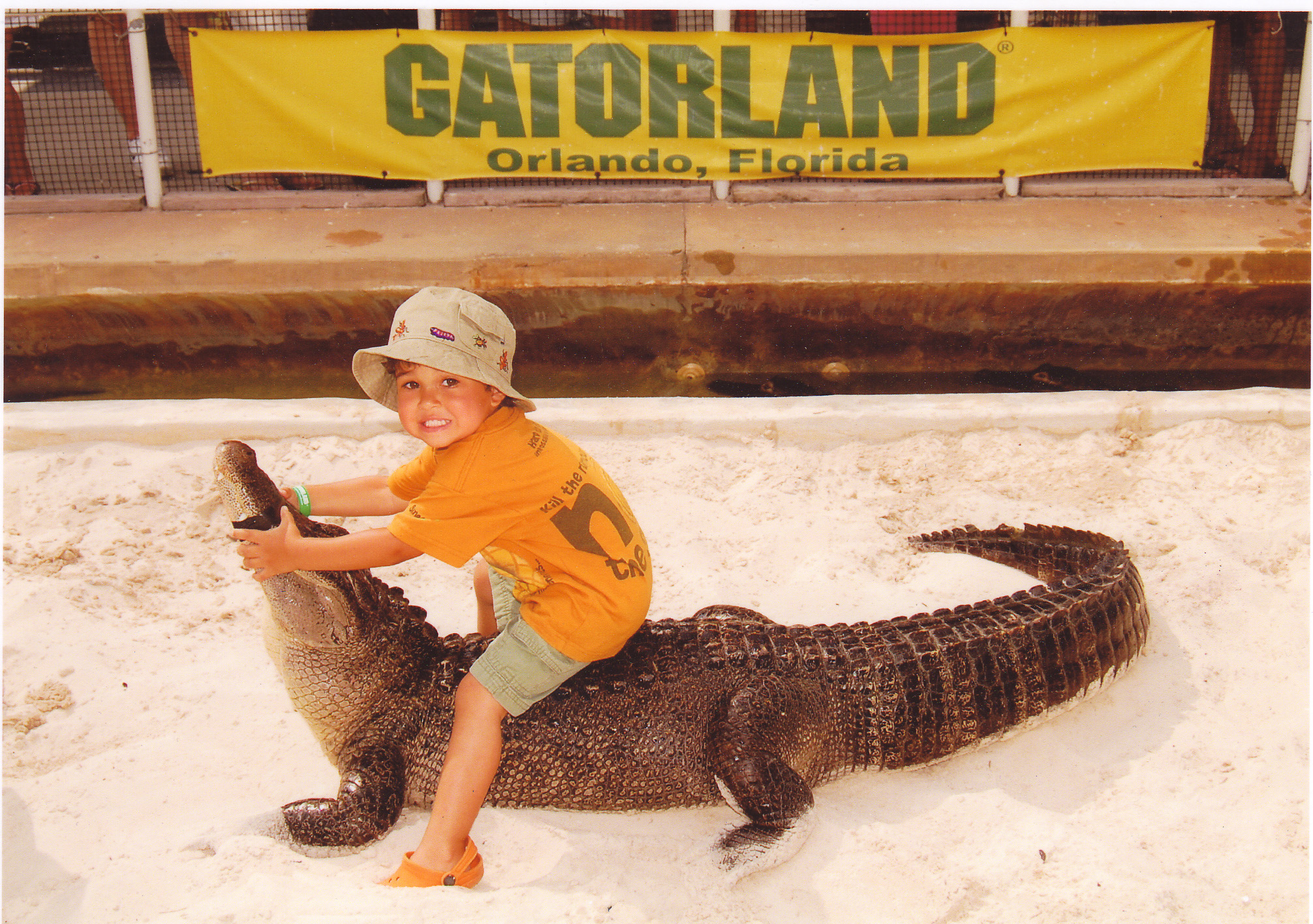 I always make sure my son is safely buckled into his carseat, I have child-proof locks on all my cabinets and I let him sit on a live gator at Gatorland. Yeah, that makes sense.