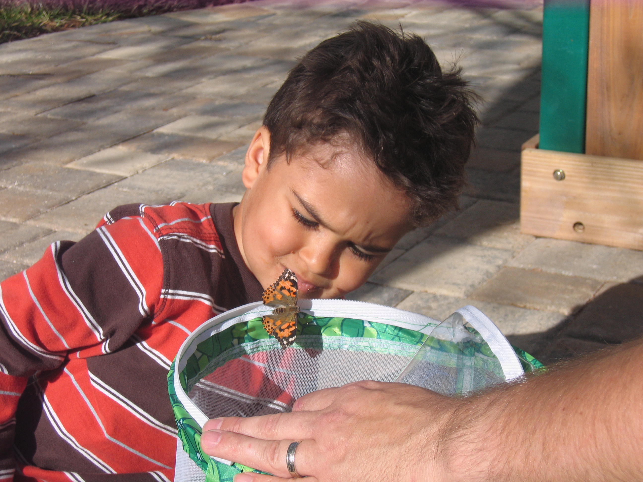 Born in captivity...released into the wild! (the butterfly...not Nate. I'm keeping him for a few more years.)